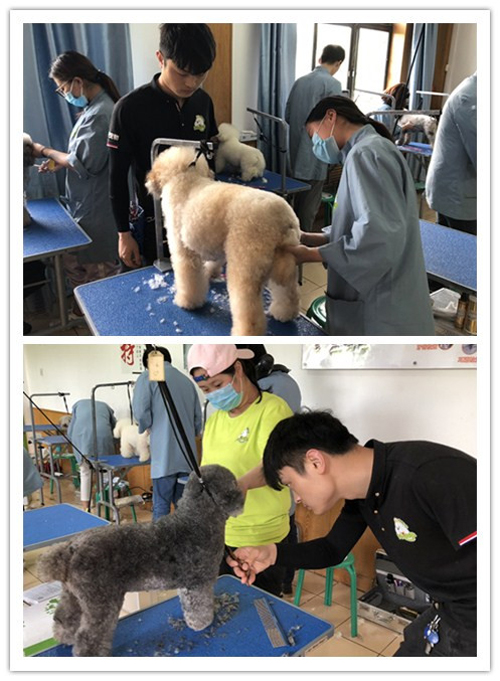 我們81期首席行為美容師的實(shí)操課程