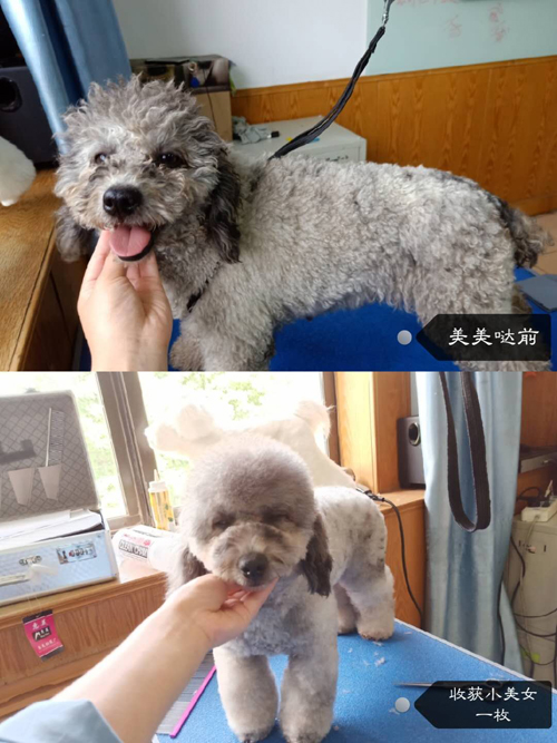 我們81期首席行為美容師的實(shí)操課程