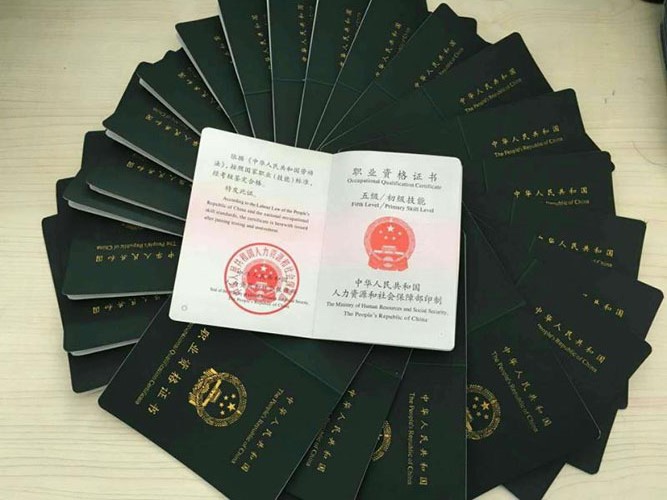 學(xué)習(xí)寵物美容有什么好地方，要怎么選擇